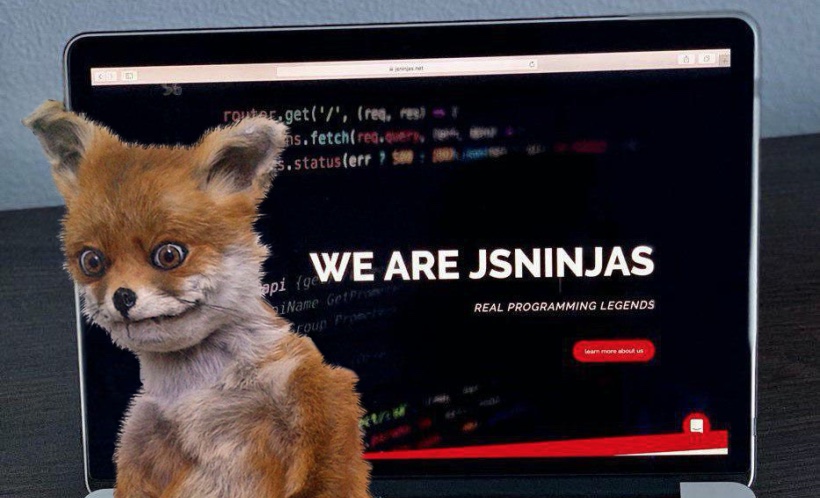 JSN (JS Ninjas) - отзыв о компании